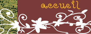accueil book