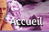 accueil book