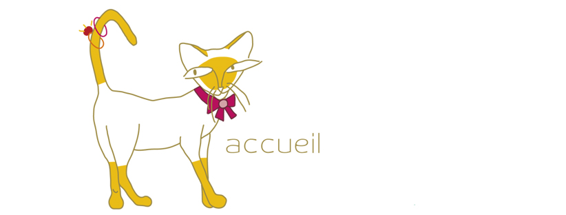 accueil book