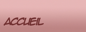 accueil book