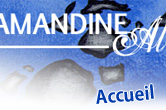 accueil book