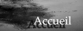 accueil book