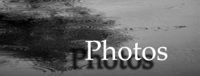 portefolio