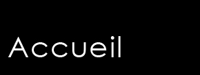 accueil book