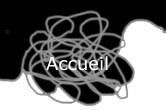accueil book