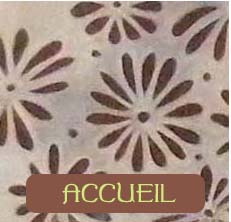 accueil book