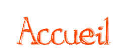accueil book