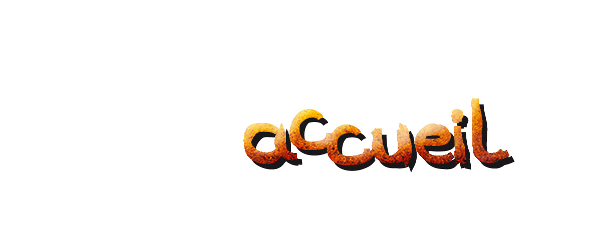 accueil book