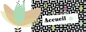 accueil book