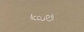 accueil book