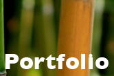 portefolio