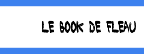 accueil book