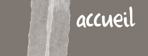 accueil book