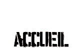 accueil book