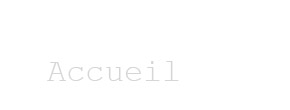 accueil book