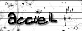 accueil book