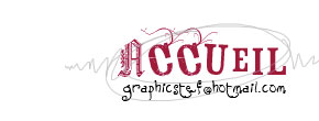 accueil book