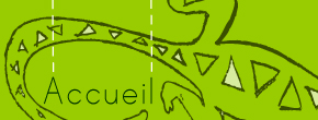accueil book