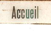 accueil book