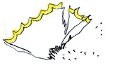 accueil book