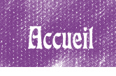 accueil book