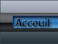 accueil book