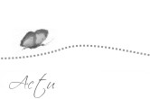 actualités