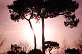 portefolio