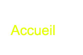 accueil book
