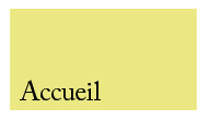 accueil book