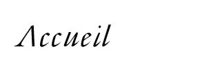 accueil book