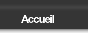 accueil book