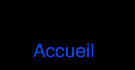 accueil book