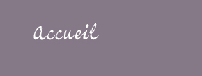accueil book