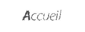 accueil book