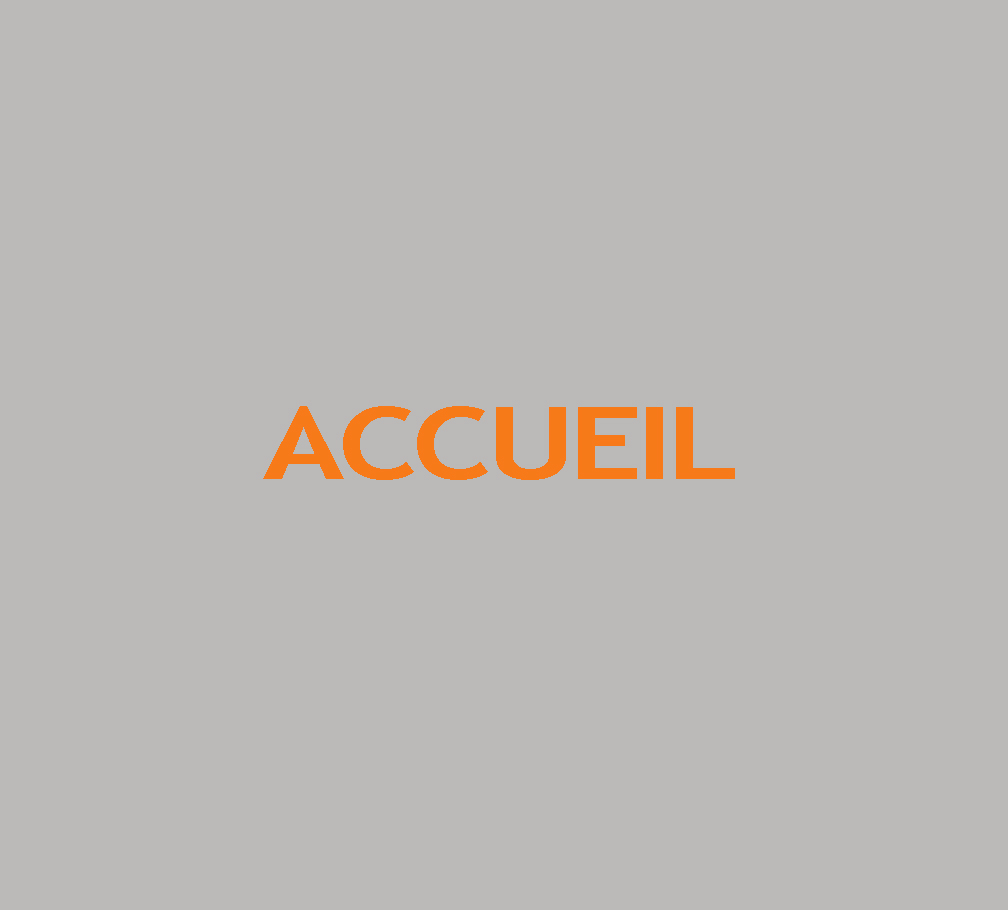 accueil book