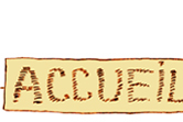 accueil book