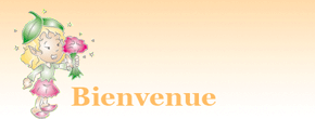 accueil book