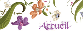 accueil book