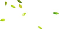 feuilles.jpg