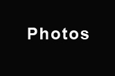 portefolio