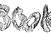 portefolio