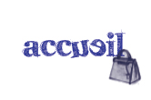 accueil book