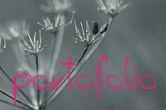 portefolio