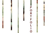 portefolio