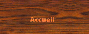 accueil book