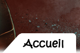 accueil book