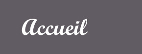 accueil book
