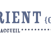 accueil book