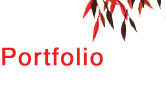 portefolio